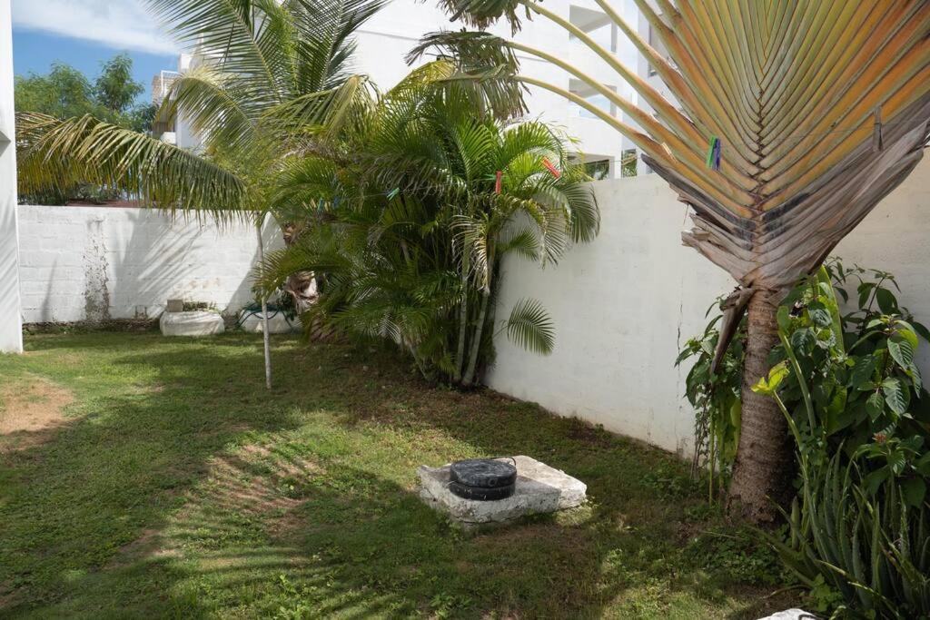 Villa Caribe Баяхибе Екстериор снимка