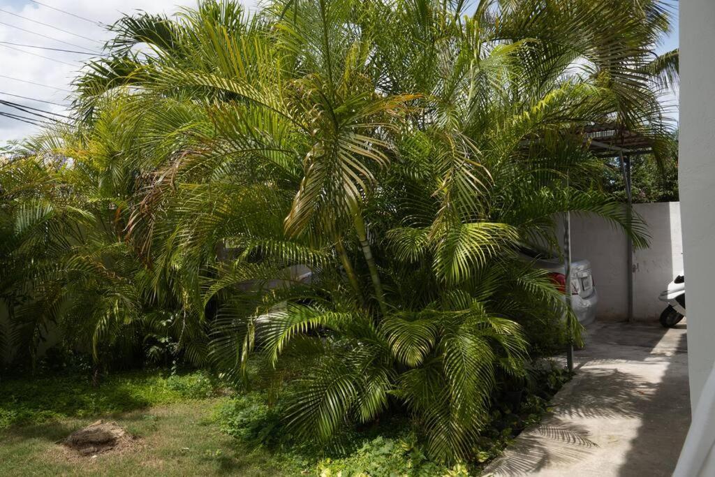 Villa Caribe Баяхибе Екстериор снимка