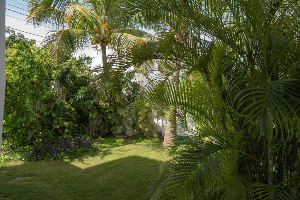 Villa Caribe Баяхибе Екстериор снимка